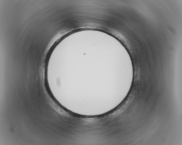 X0000113281130200910130959