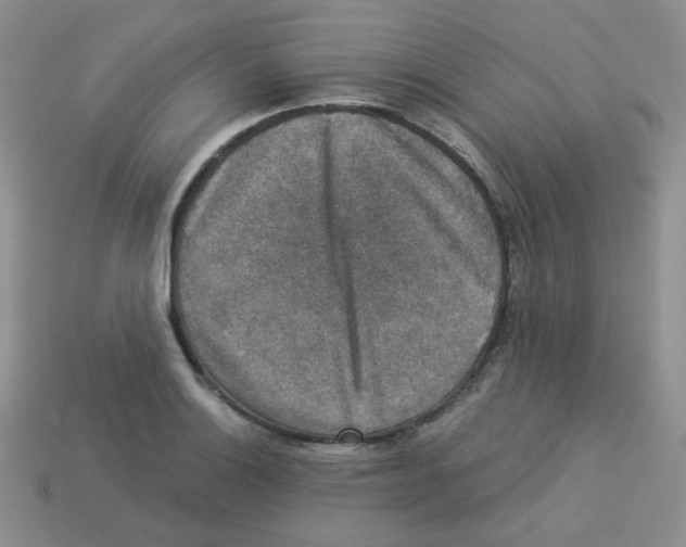 X0000113281132200910130959