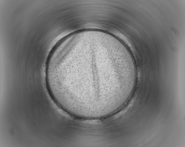 X0000113281133200910131000