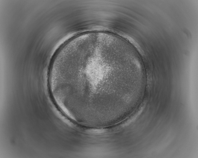 X0000113281134200910131000