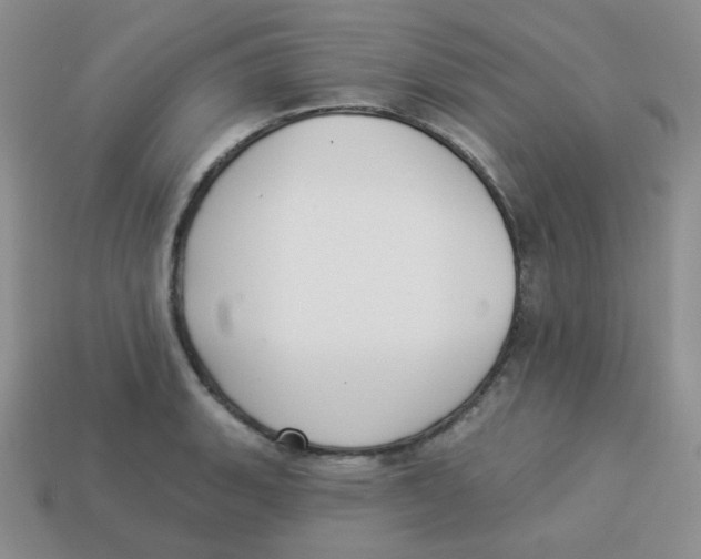 X0000113281135200910131000