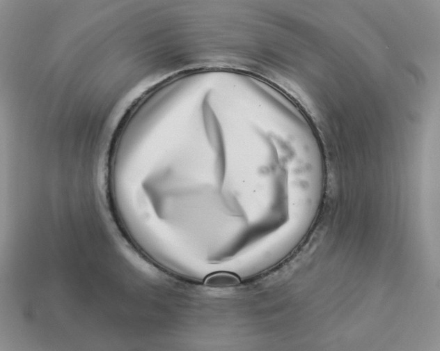 X0000113281136200910131000