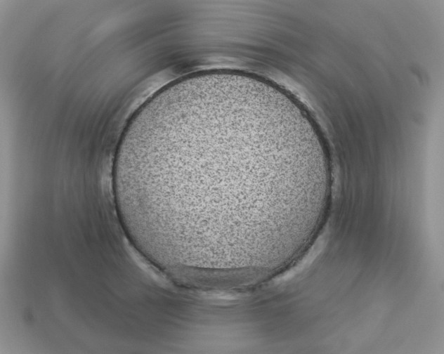 X0000113281137200910131000