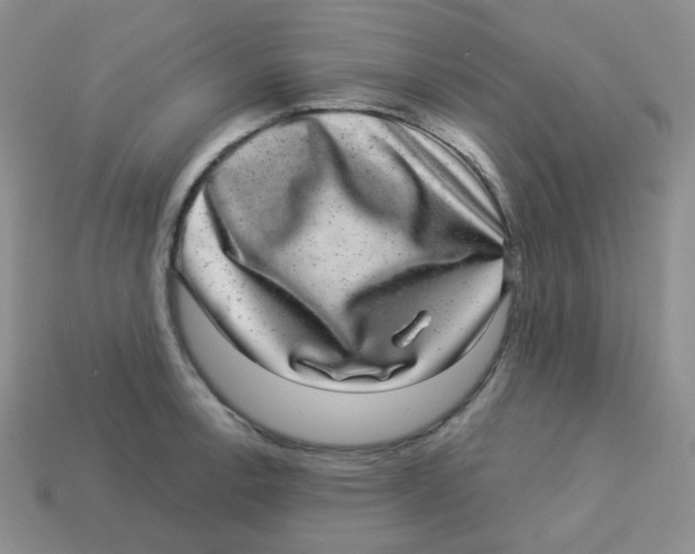 X0000113281138200910131000