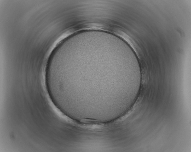 X0000113281139200910131000