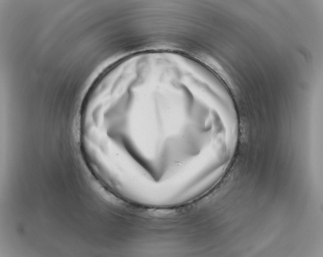 X0000113281140200910131000