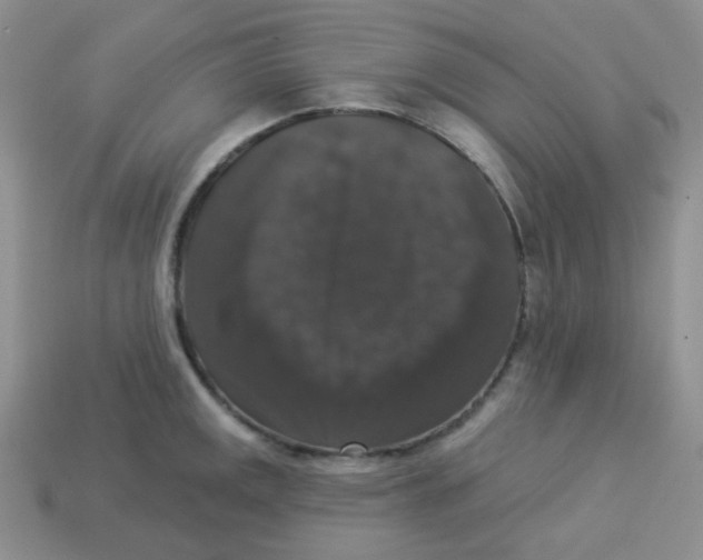 X0000113281141200910131000