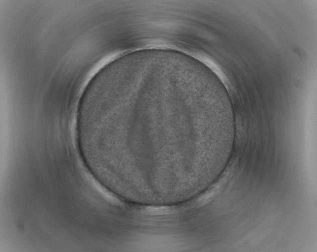 X0000113281142200910131000