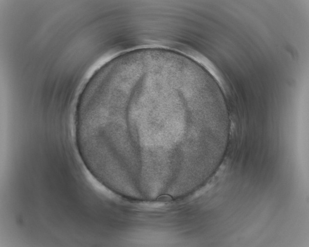 X0000113281143200910131000