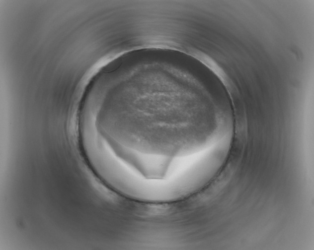 X0000113281144200910131000
