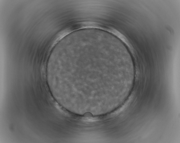 X0000113281145200910131000