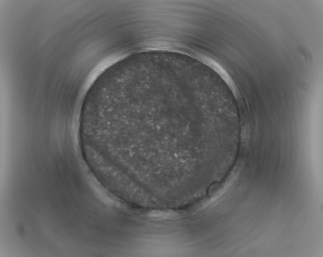 X0000113281146200910131000