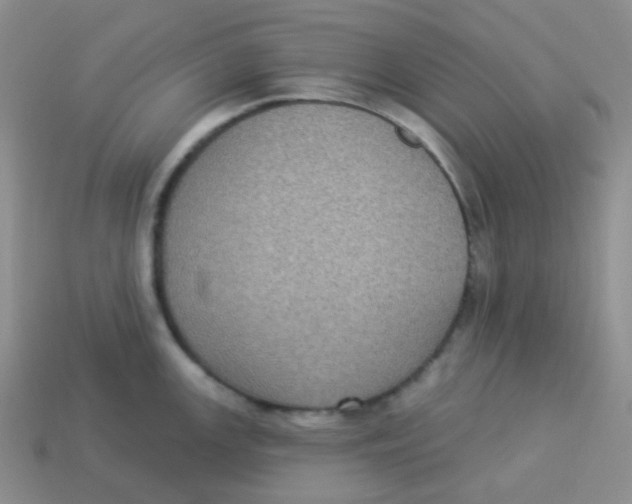X0000113281147200910131000