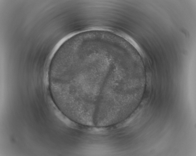 X0000113281148200910131000