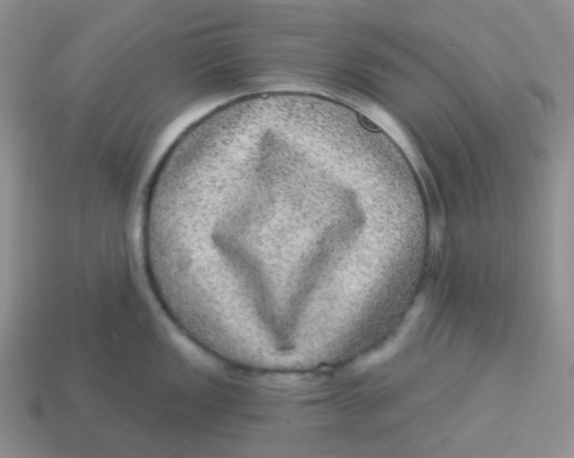 X0000113281149200910131000