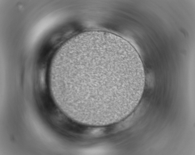 X0000113281150200910131000