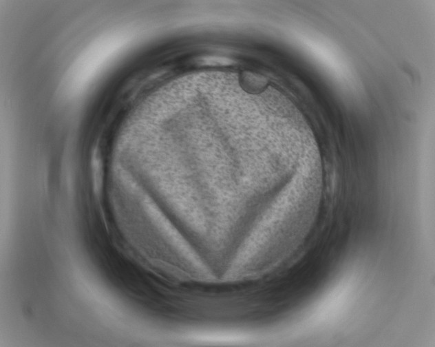 X0000113281151200910131000