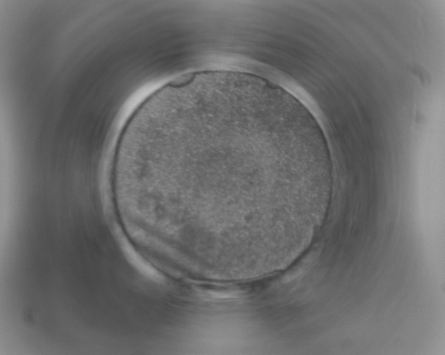 X0000113281152200910131000