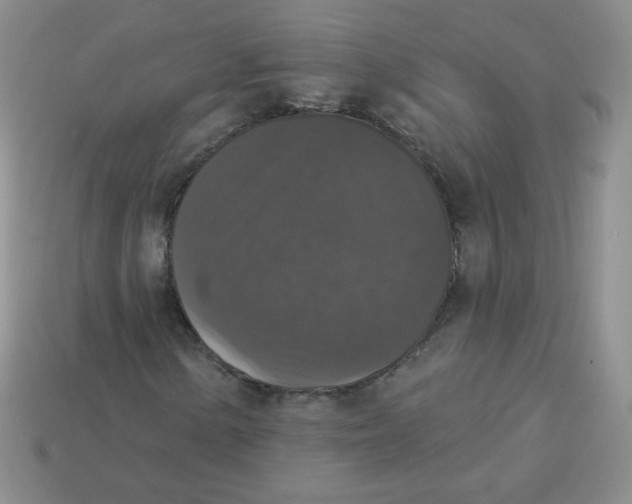 X0000113281154200910130959
