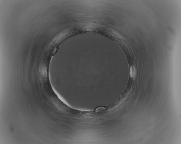 X0000113281155200910130959
