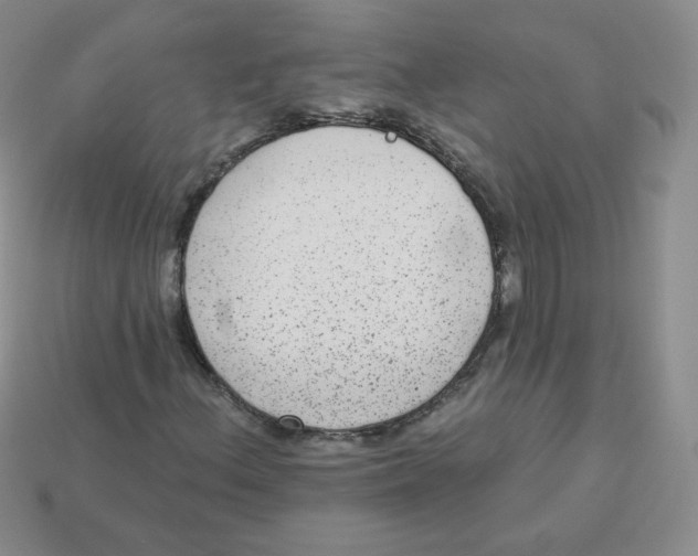 X0000113281156200910130959