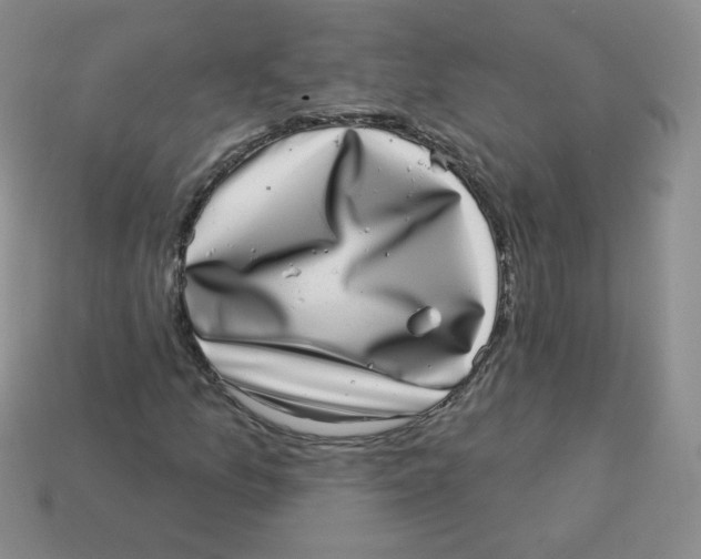 X0000113281157200910130959