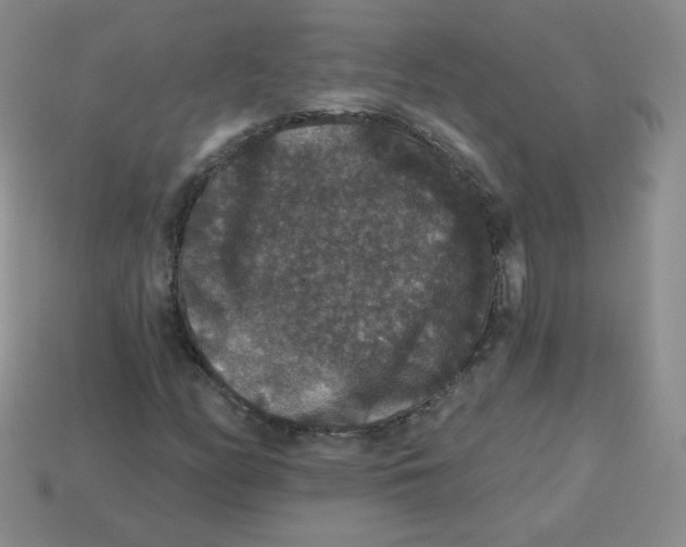 X0000113281158200910130959