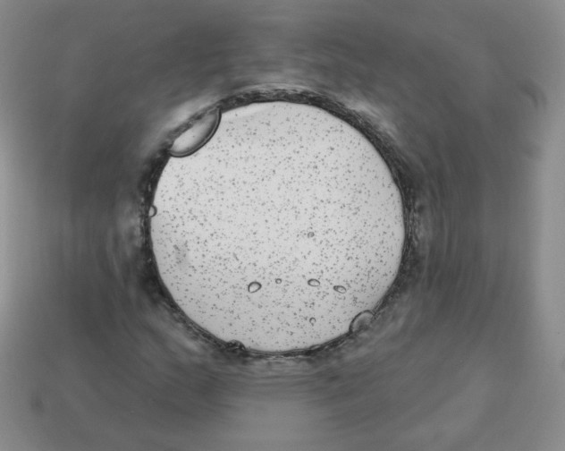 X0000113281159200910130959