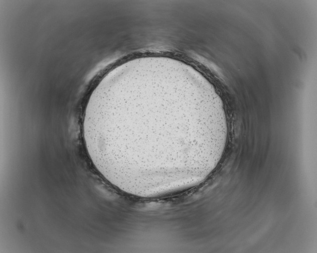 X0000113281160200910130959