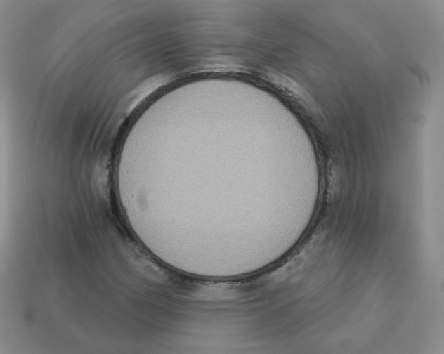 X0000113281162200910130959