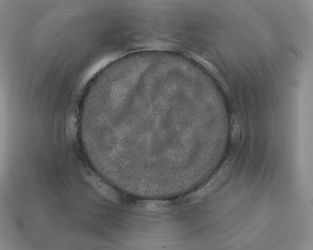 X0000113281163200910130959