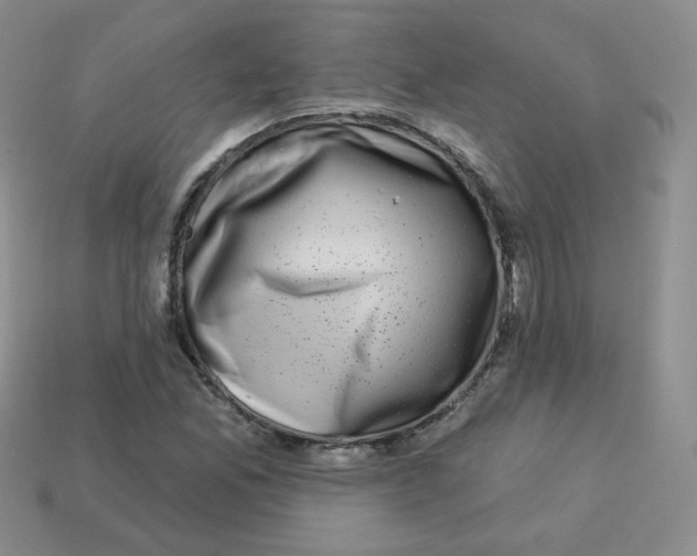 X0000113281165200910130959