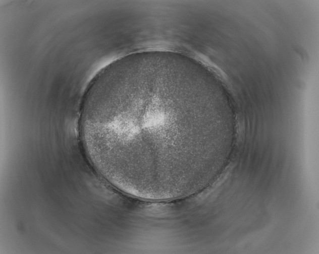 X0000113281166200910130959