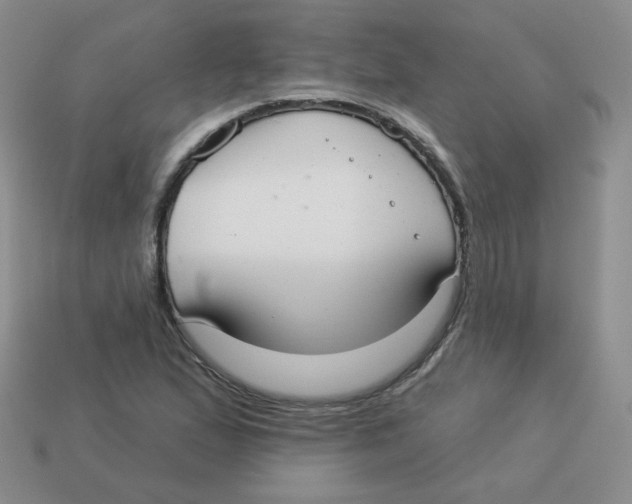 X0000113281167200910130959