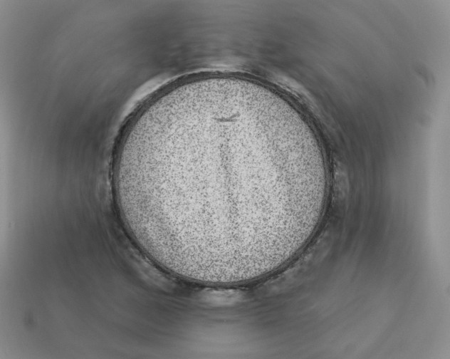 X0000113281168200910130959