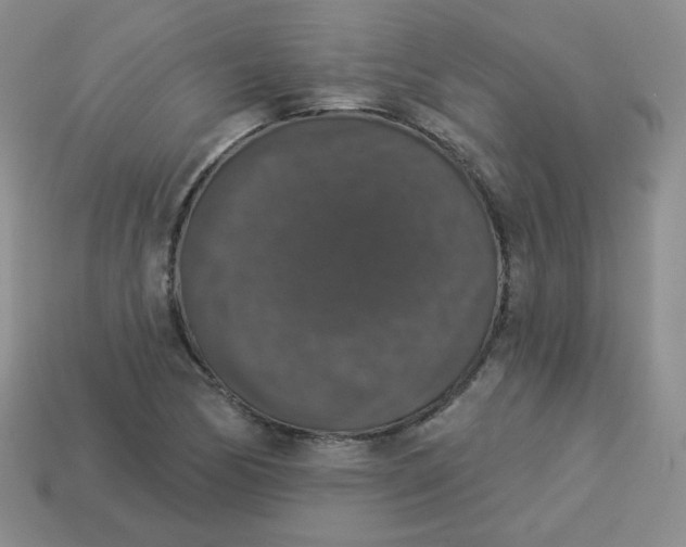 X0000113281170200910130959