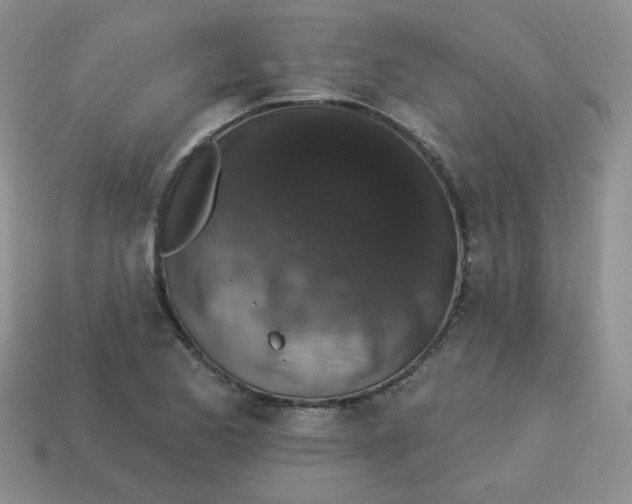 X0000113281173200910130959
