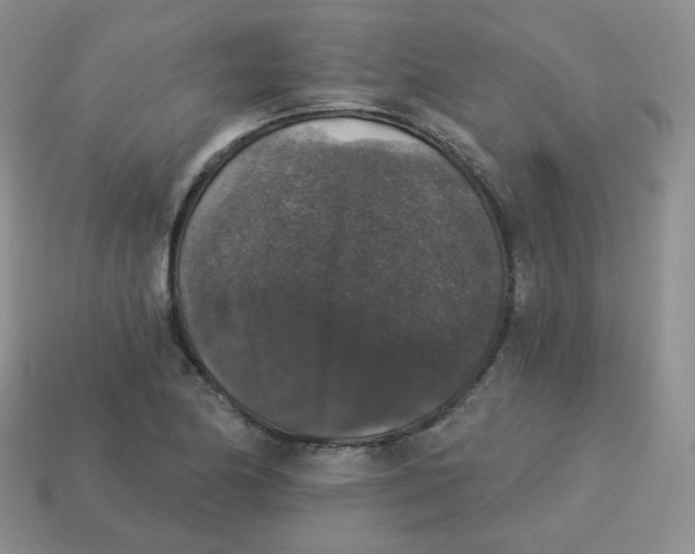 X0000113281174200910130959