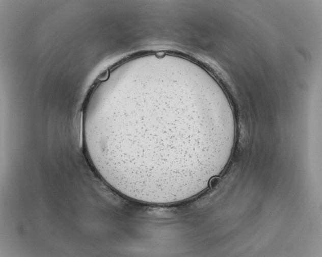 X0000113281175200910130959