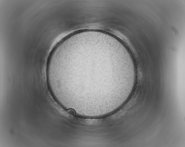 X0000113281176200910130959