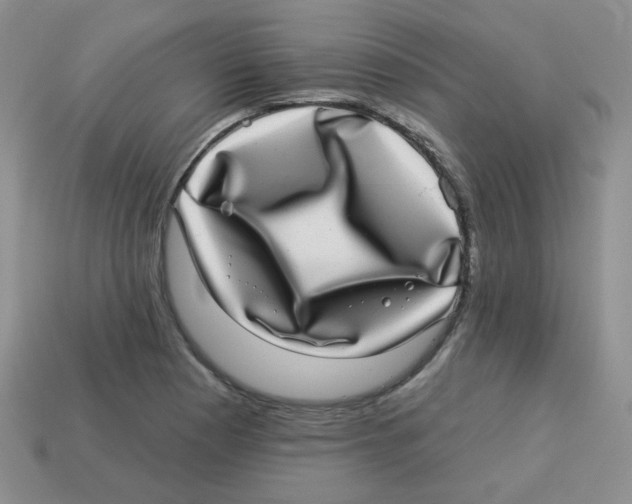 X0000113281177200910130959