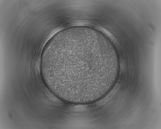 X0000113281178200910130959
