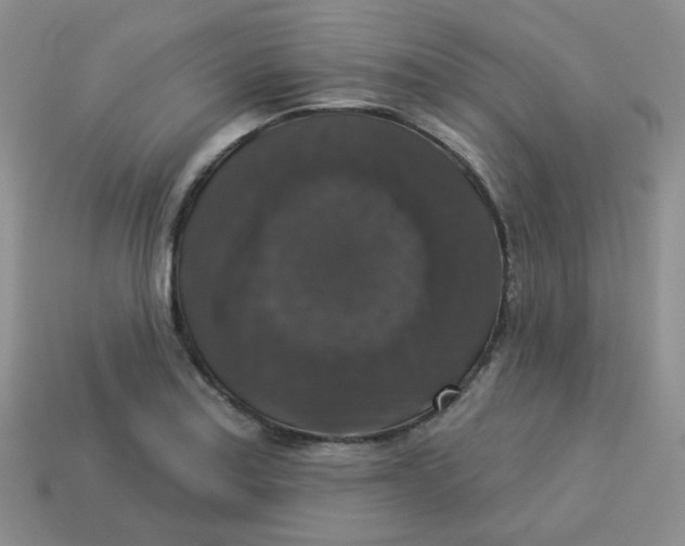 X0000113281179200910130959