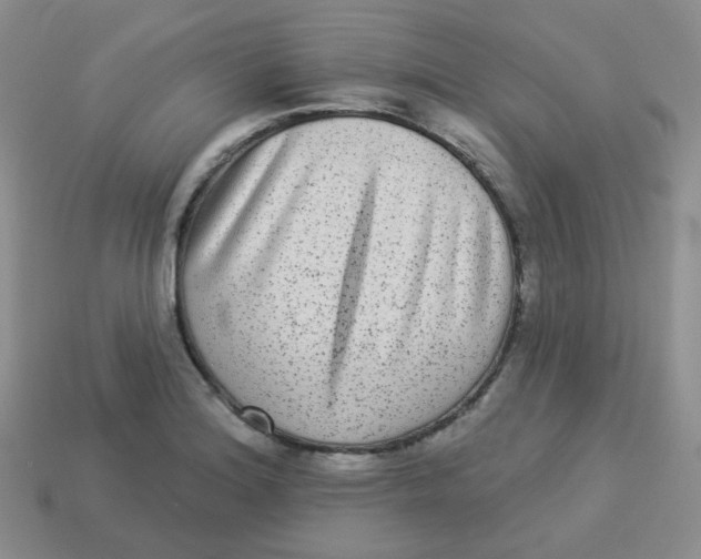 X0000113281180200910130959
