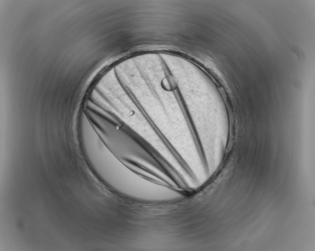 X0000113281181200910130959