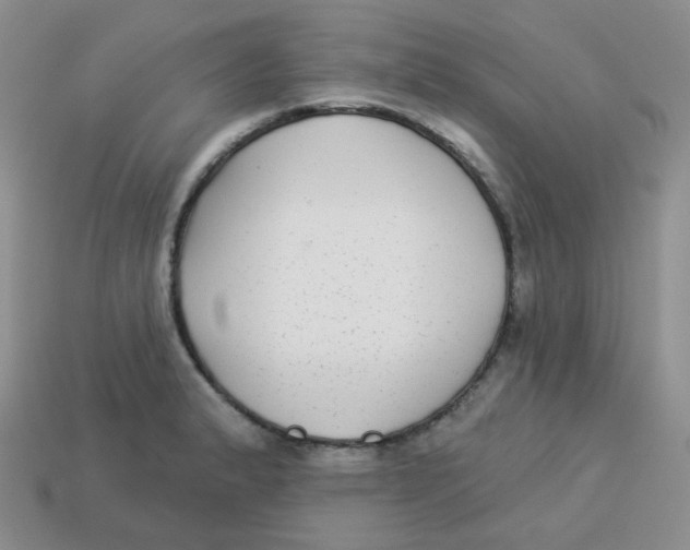X0000113281183200910130959