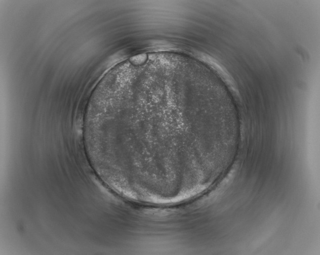 X0000113281185200910130959