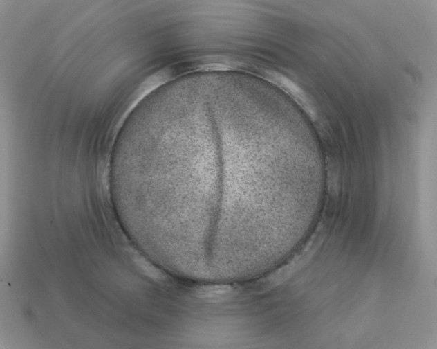 X0000113281186200910130959