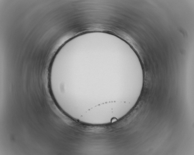 X0000113281187200910130959