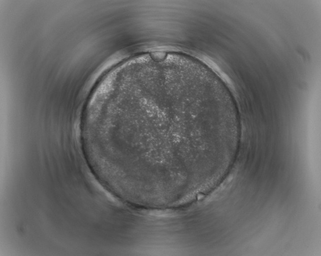 X0000113281189200910130959
